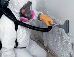 Biohazard Mold Removal in Loop, PA